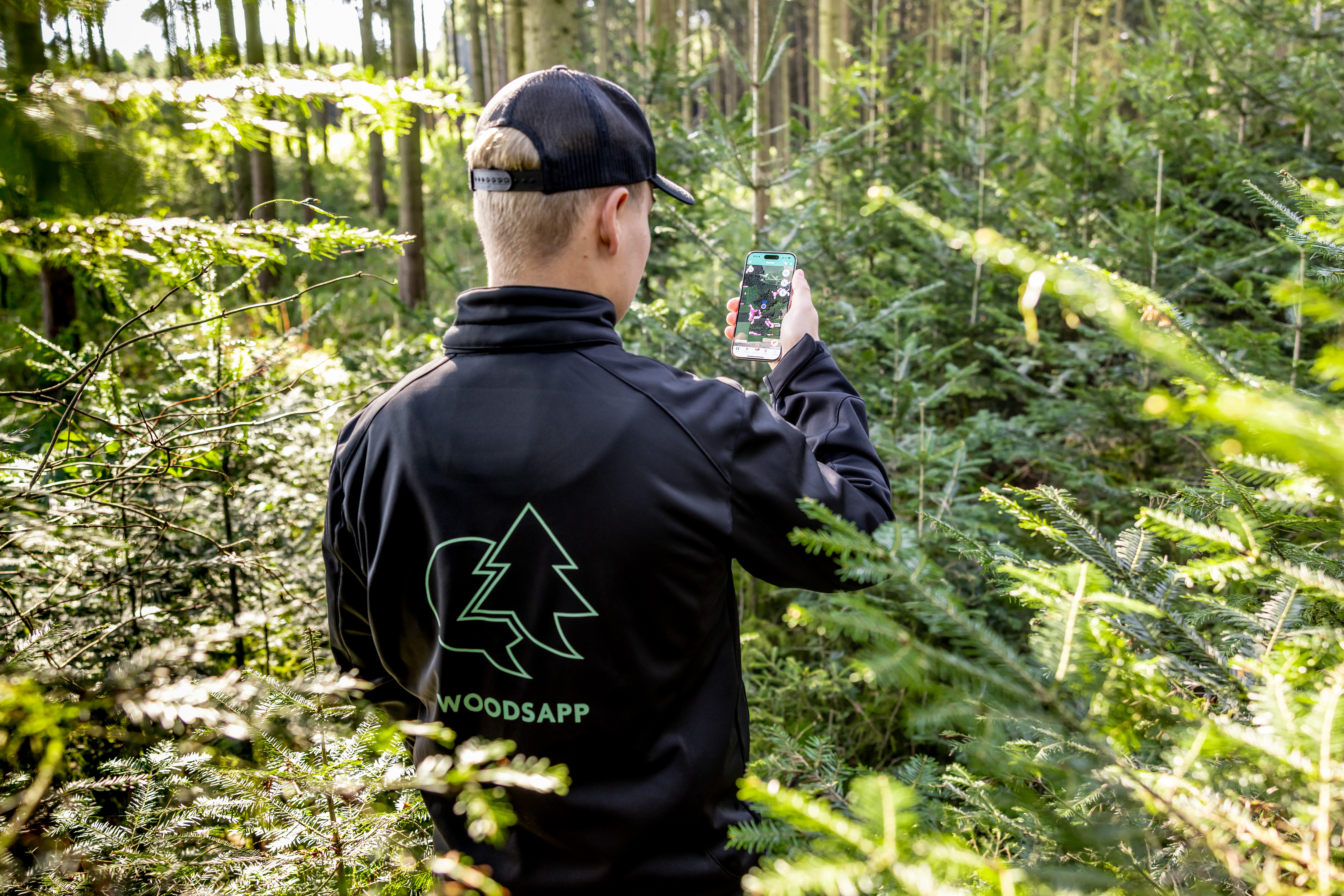 Digitale Waldbewirtschaftung